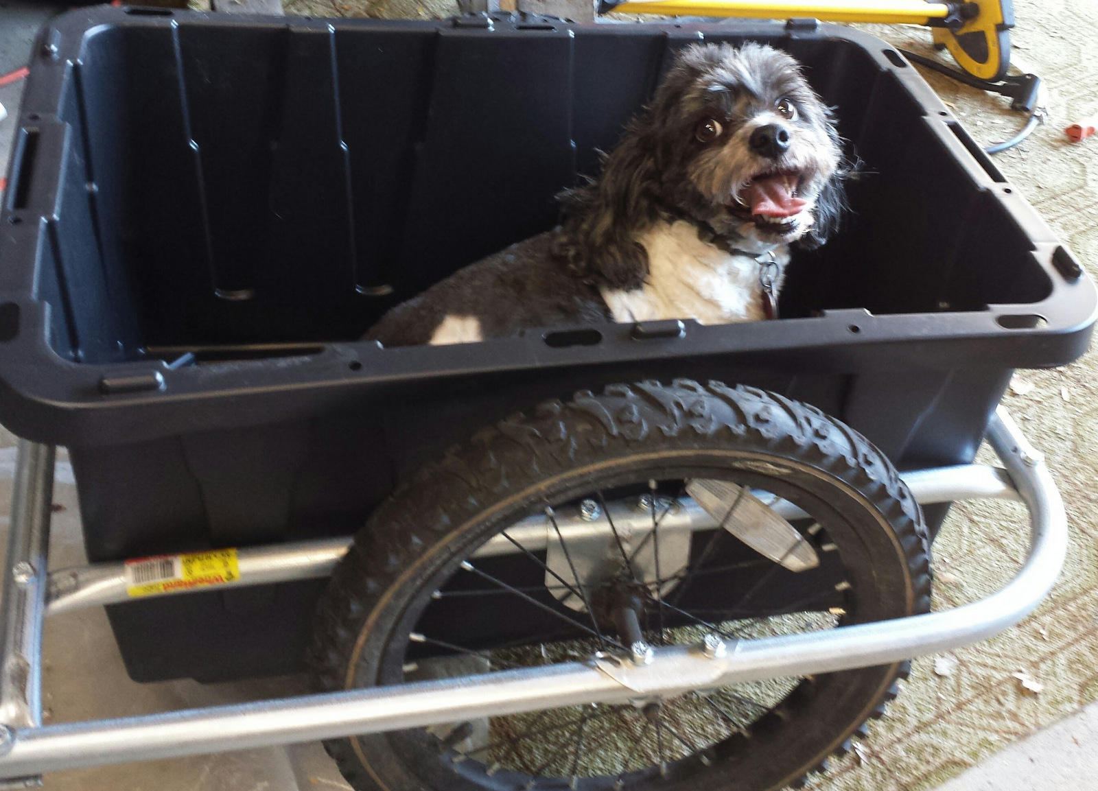 diy dog bike trailer